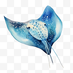 海洋生活图片_水彩黄貂鱼海洋动物剪贴画