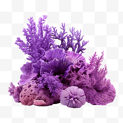 海底海洋植物图片_紫色珊瑚礁海洋生物