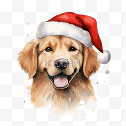 亲爱的圣诞老人不要忘记狗的设计