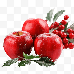 花冬图片_圣诞组合物，桌上有红冬苹果，特