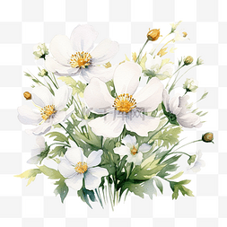 森林野花图片_水彩风格的白色野花