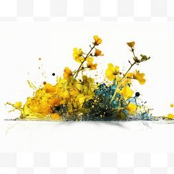 白色背景上的黄色花朵飞溅的油漆