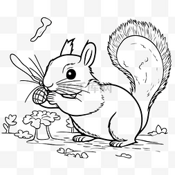 松鼠可爱卡通图片_黑白着色的松鼠捕捉虫子的矢量