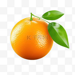 甜多汁美味天然生态产品橙子