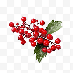 圣诞树枝花边图片_白色表面有红色浆果和装饰品的圣