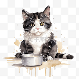 胖乎乎的黑白条纹猫在水彩画中吃