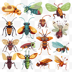 昆虫剪贴画许多不同类型的卡通虫