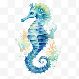蓝色的海马图片_水彩海马海洋动物剪贴画