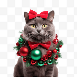 冬装饰图片_头上有红色装饰的绿色圣诞花环猫