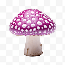 紫色糖图片_蘑菇紫色斑点