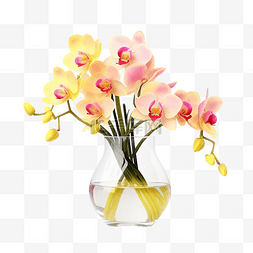 透明花束图片_花瓶中的粉红色黄色兰花透明背景