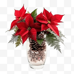 八角星图片_圣诞花束，一品红和麦芽酒树枝
