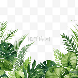绿色夏天背景图片_绿色热带树叶和植物水彩插图的无