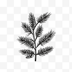 植物黑白矢量图图片_黑白线圣诞树分支矢量图