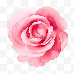 玫瑰水彩画笔触
