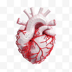 动脉加压图片_人类心脏 3D 模型的简约插图