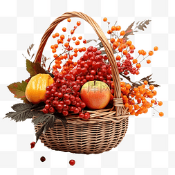 篮子里的水果蔬菜图片_秋天的静物篮子里有石南花荚莲属