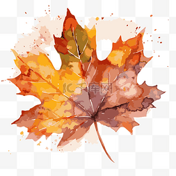 水彩免费图片_水彩秋天叶子剪贴画枫叶水彩着色