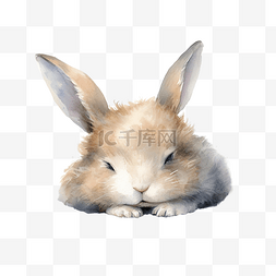 兔月图片_困倦的兔子水彩插图