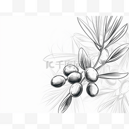 橄榄果设计图片_有很多橄榄的黑白设计