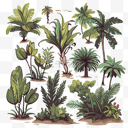 卡通热带植物图片_丛林植物剪贴画热带植物和树木卡