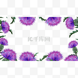 紫色花草边框图片_蓟花卉水彩蓝紫色植物边框
