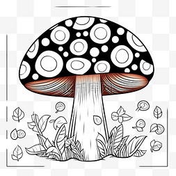 鹅膏菌蘑菇解决问题给图片上色加