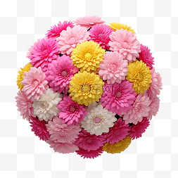 圆形花球花