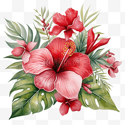 普斯利花中的热带花卉装饰水彩