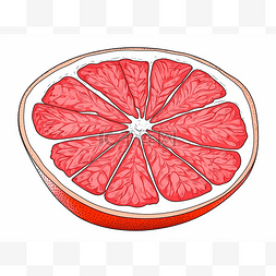 切开的柚子插画