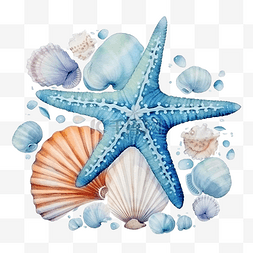 珊瑚海洋图片_水彩套贝壳海马海星气泡