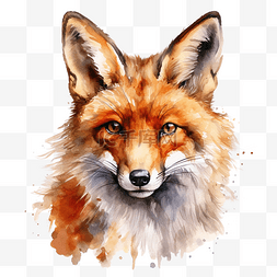 可爱的狐狸肖像水彩