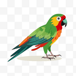 鹦鹉剪贴画可爱的彩色鹦鹉与彩色