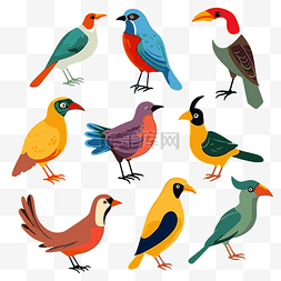 aves 剪贴画色彩缤纷的鸟矢量插画