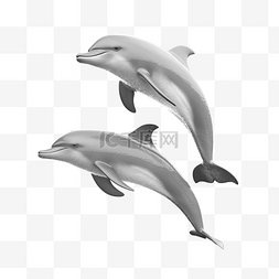 灰色海豚跳跃孤立概念 3d 插图 3d 