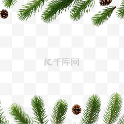 模型圣诞树树枝边框白色隔离