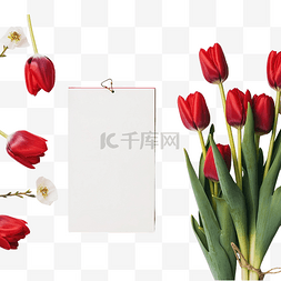 唯美可爱的红色郁金香花子弹日记