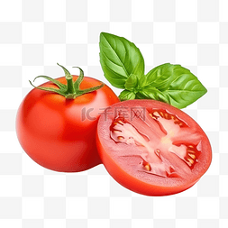番茄红新鲜带叶切片番茄带番茄种