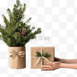 女手握着圣诞树，靠近圣诞礼物和