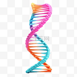 DNA 螺旋遗传结构 3d 插图