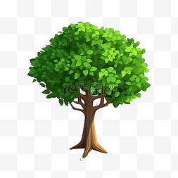 树或植物等距植物和树木