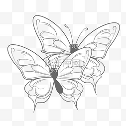 白色背景中的两只蝴蝶轮廓素描 