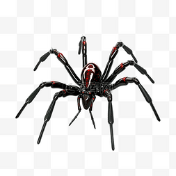 逼真卡通图片_三维黑色光泽有毒蜘蛛，红眼睛和
