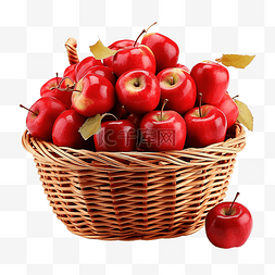 新鲜的红苹果图片_装满红苹果的柳条篮收获节感恩节
