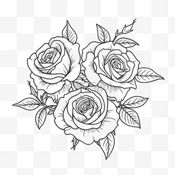 玫瑰线描图片_着色页显示为三朵玫瑰轮廓草图 