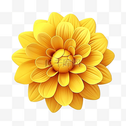 3d 风格的黄色花朵插图
