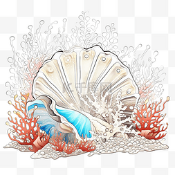美丽的奇特贝壳，热带珊瑚礁沙上
