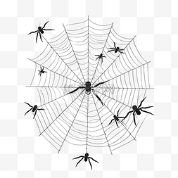 逼真卡通图片_3d 灰色蜘蛛网与黑色毒蜘蛛