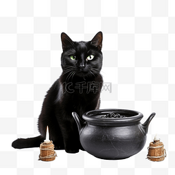 黑猫女巫图片_黑猫用威斯壶施展魔法