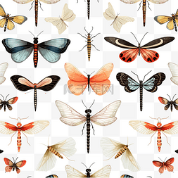 png蝴蝶蜻蜓图片_蜻蜓和飞蛾